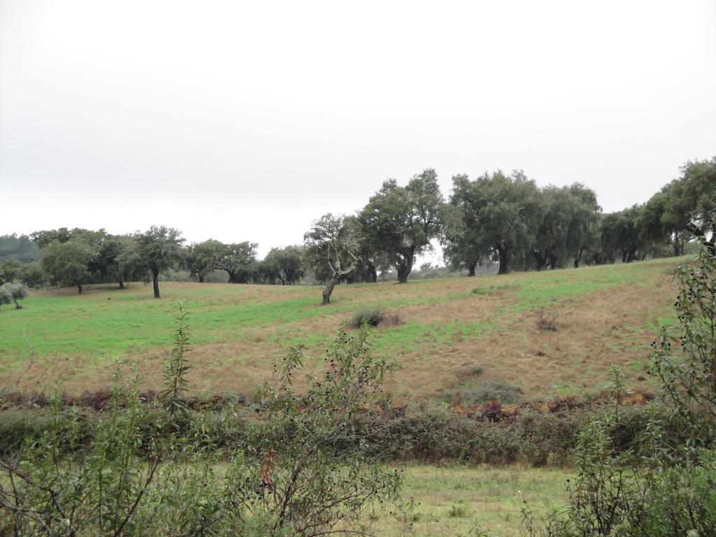 Casa Rural Sierra San Mamede La Codosera Bagian luar foto