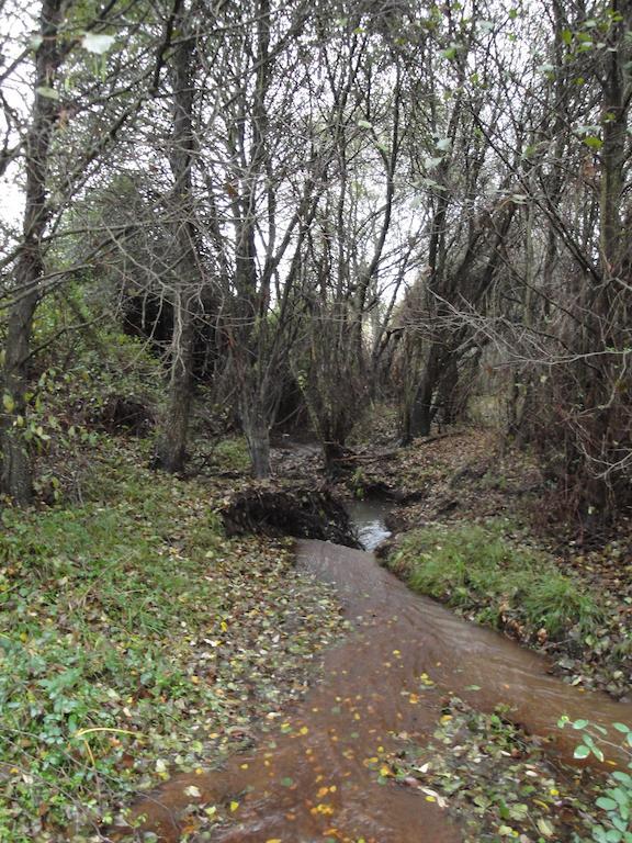 Casa Rural Sierra San Mamede La Codosera Bagian luar foto