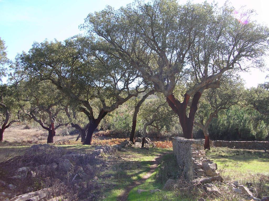Casa Rural Sierra San Mamede La Codosera Bagian luar foto