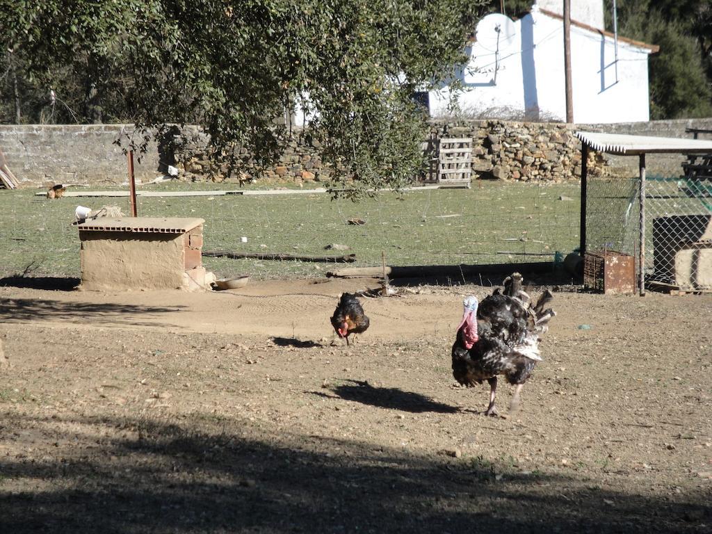 Casa Rural Sierra San Mamede La Codosera Bagian luar foto