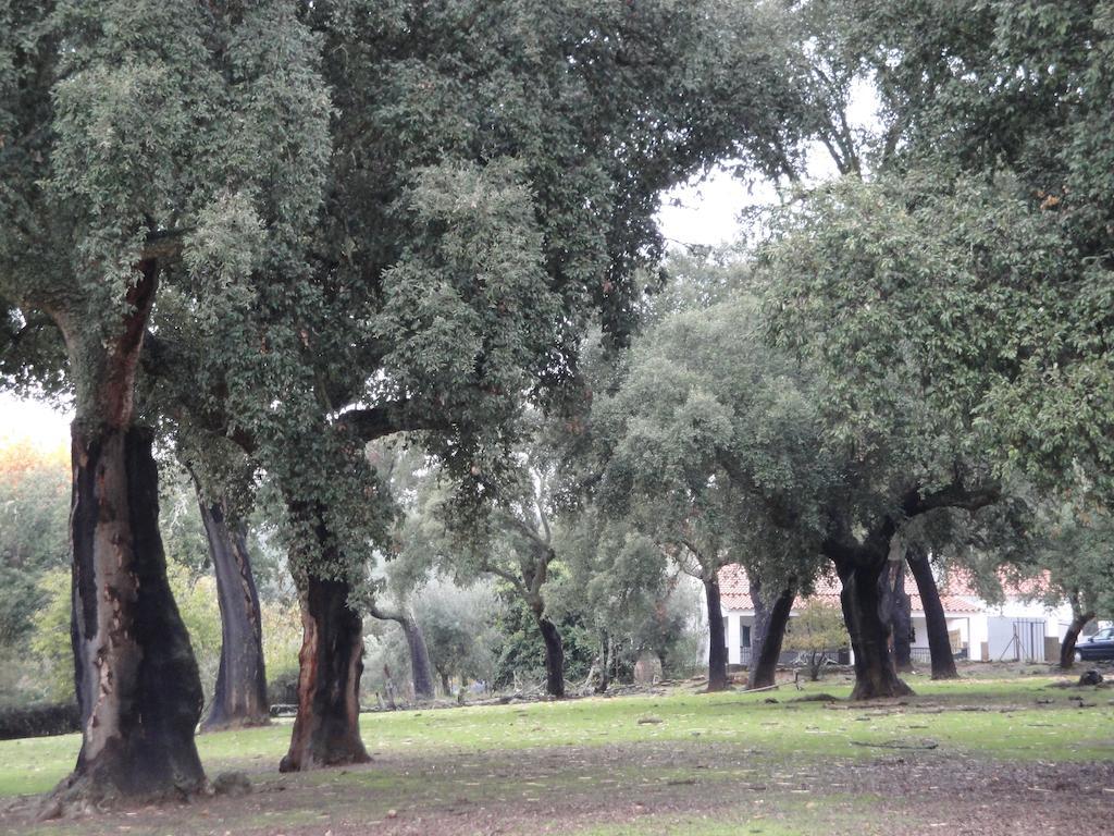 Casa Rural Sierra San Mamede La Codosera Bagian luar foto