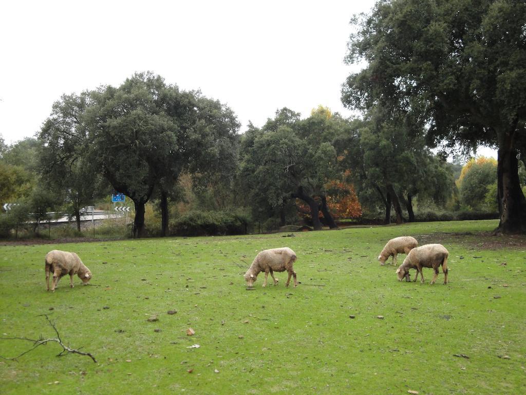 Casa Rural Sierra San Mamede La Codosera Bagian luar foto