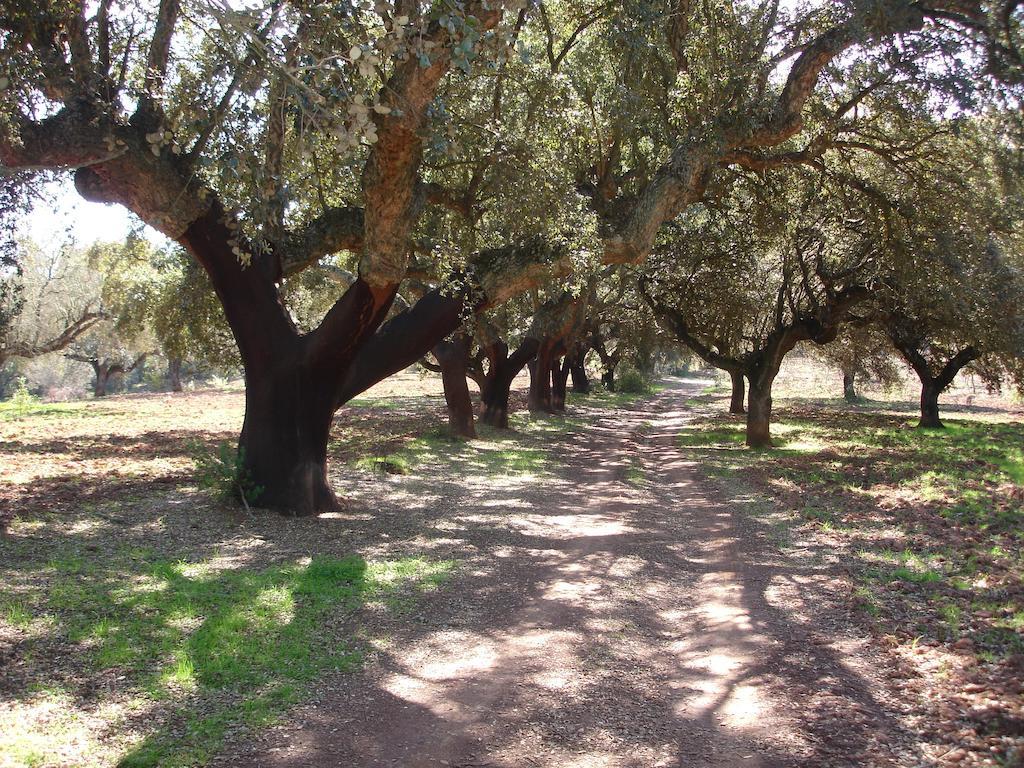 Casa Rural Sierra San Mamede La Codosera Bagian luar foto